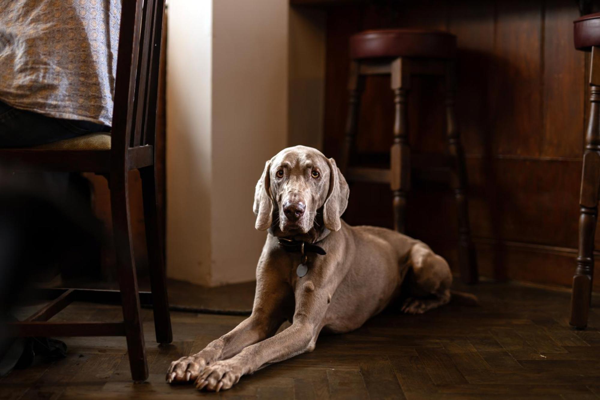 The Lamb Inn Hindon Esterno foto